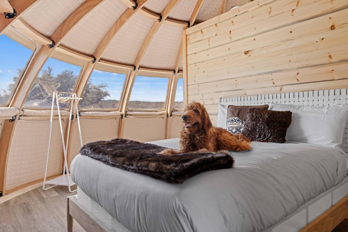 Artemis Pod: Luxury and versatile lodge for glamping, ADU, guest house, Airbnb, event, and more